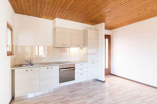 Wohnung in Mieten zu SIGIRINO - Preis: 1.100 CHF / monat / ArtProjekt SA