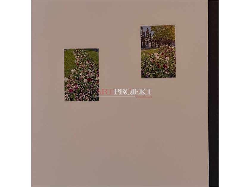 Green Corner – Appartamento Ammobiliato in Prima Locazione a Paradiso Libero da subito / ArtProjekt SA