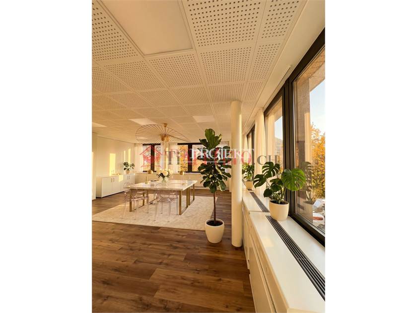 Büro in Mieten zu LUGANO - Preis: 6.450 CHF / monat / ArtProjekt SA