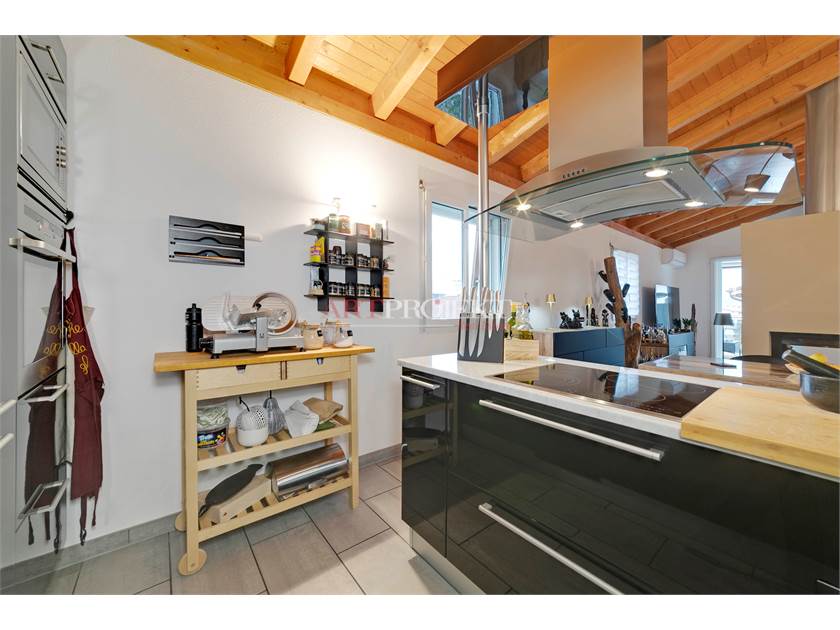 Cozy 4.5-room penthouse in Sant' Antonino / ArtProjekt SA