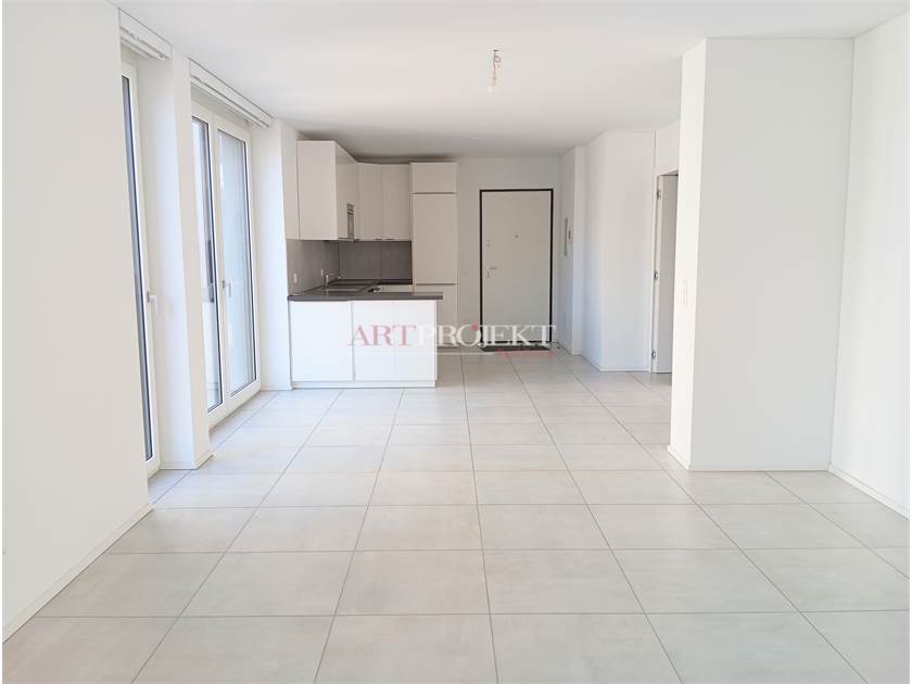 Splendido 4,5 locali nel cuore di Paradiso / ArtProjekt SA